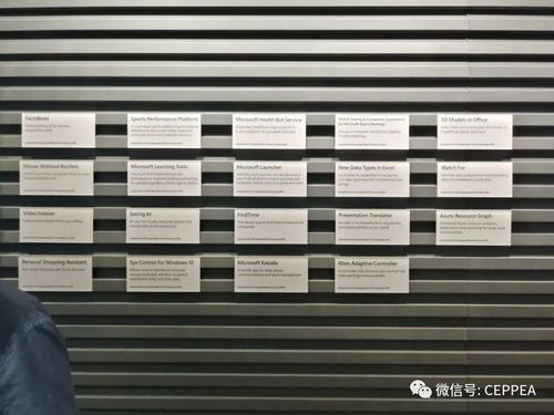 協(xié)會赴微軟公司開展數(shù)字化前沿技術(shù)交流活動